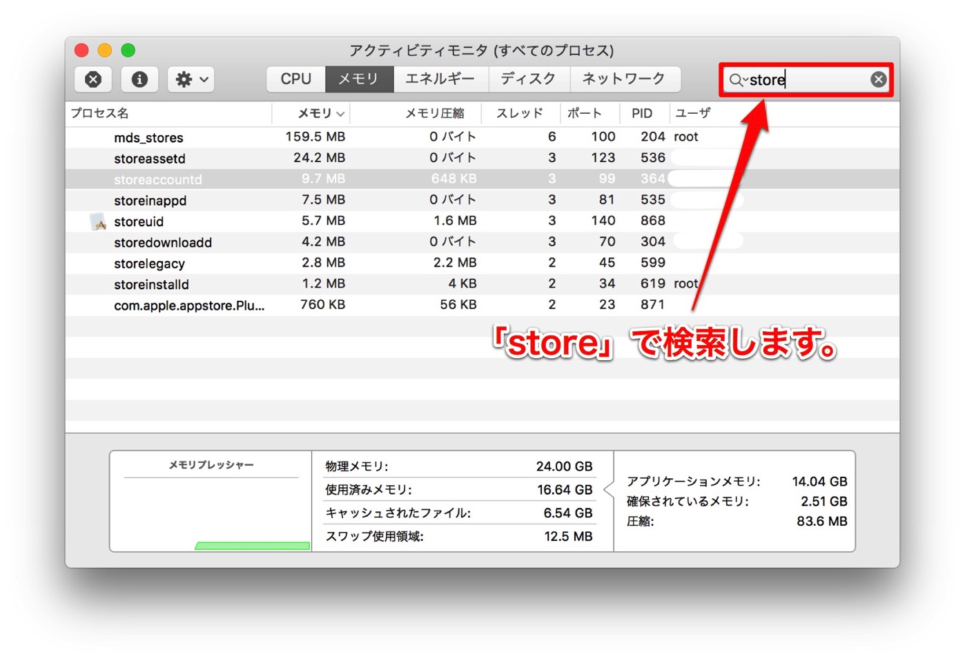AppleStore-5