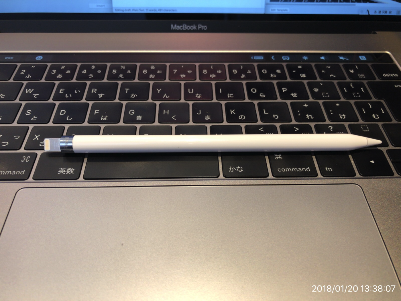 [iPad Pro]Apple Pencil用ペンクリップが届いたので紹介してみるよ